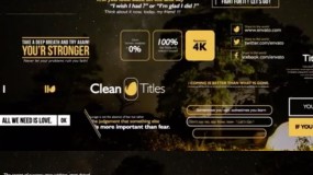FCPX插件:20种精美大标题动画 Gold Clean Titles