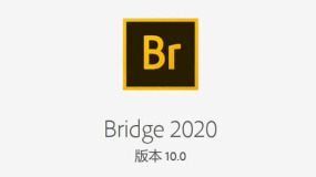 BR 2020 文件资源管理软件中文英文破解版Adobe Bridge 2020 Win/Mac v10.0.0.124
