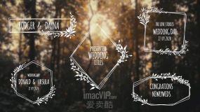 FCPX插件-5种浪漫小清新线条花蔓婚礼文字标题动画 第十二季