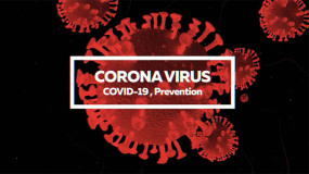 FCPX模板-新型冠状病毒细菌科研医学图文介绍动画 Corona Virus Opener