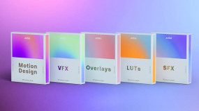 PR模板音效LUTS调色视频动画素材预设包 250+ Creative Assets – Creator Pack