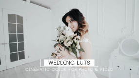 LUTs预设-103种高级复古自然奢华明亮婚礼调色预设Wedding Bundle