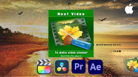 FCPX/达芬奇/PR插件-专业视频画面降噪插件 Neat Video Pro 5.6.1 Mac苹果版